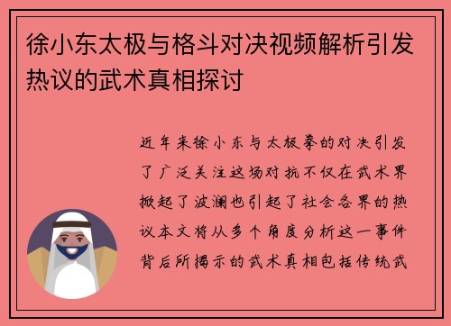 徐小东太极与格斗对决视频解析引发热议的武术真相探讨